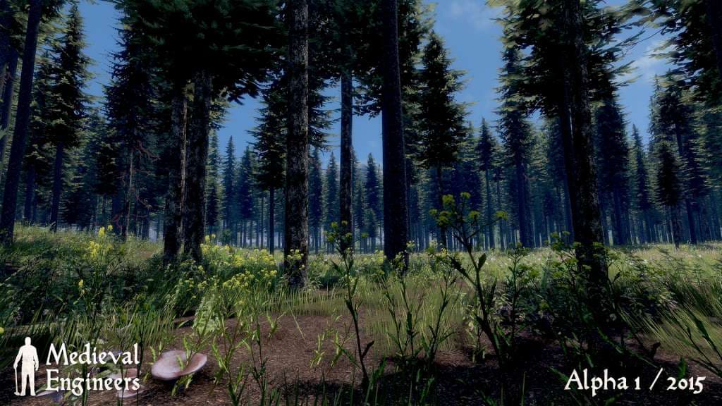 Medieval Engineers Deluxe Edition Steam CD Key