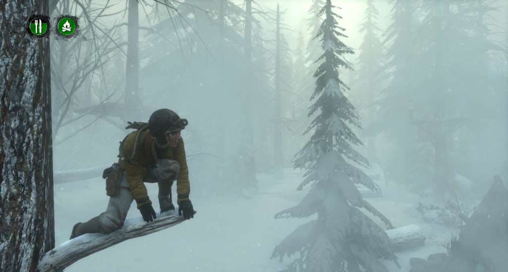 Rise of the Tomb Raider - Endurance Mode DLC Steam CD Key