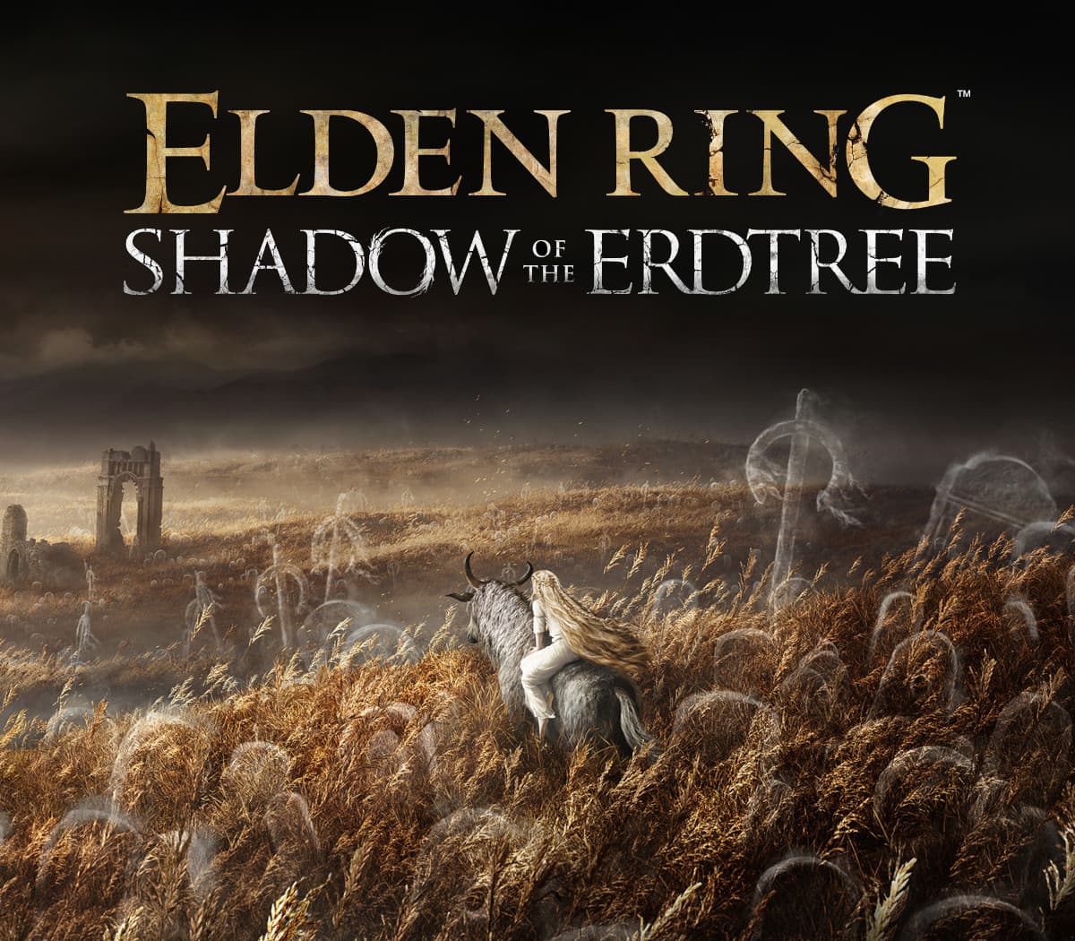 ELDEN RING - Shadow of the Erdtree DLC EU PS4/PS5 CD Key