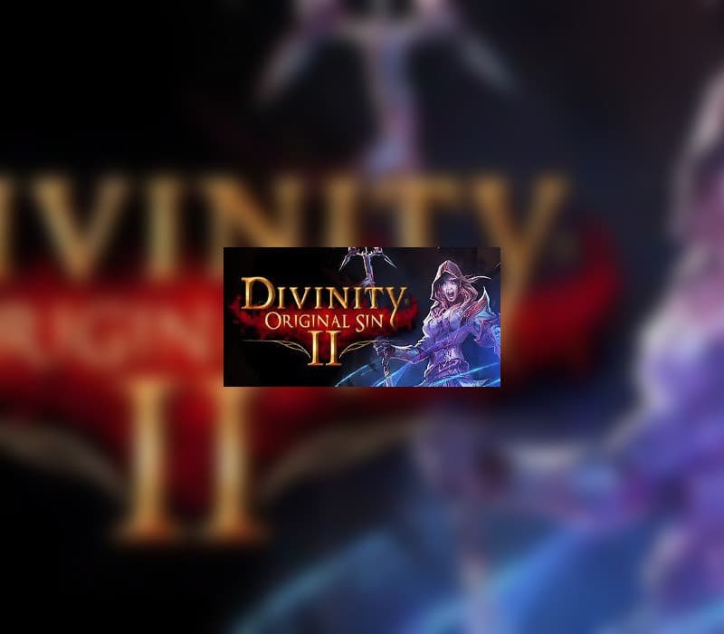 Divinity: Original Sin 2 GOG CD Key