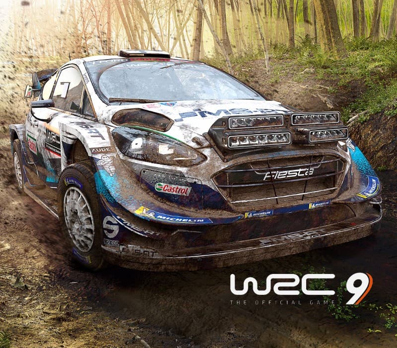 WRC 9 FIA World Rally Championship EU PC Steam CD Key
