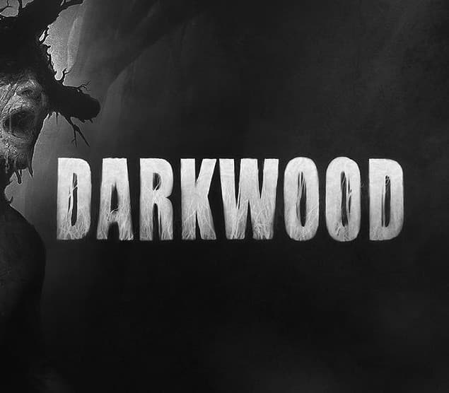 Darkwood PC Steam CD Key
