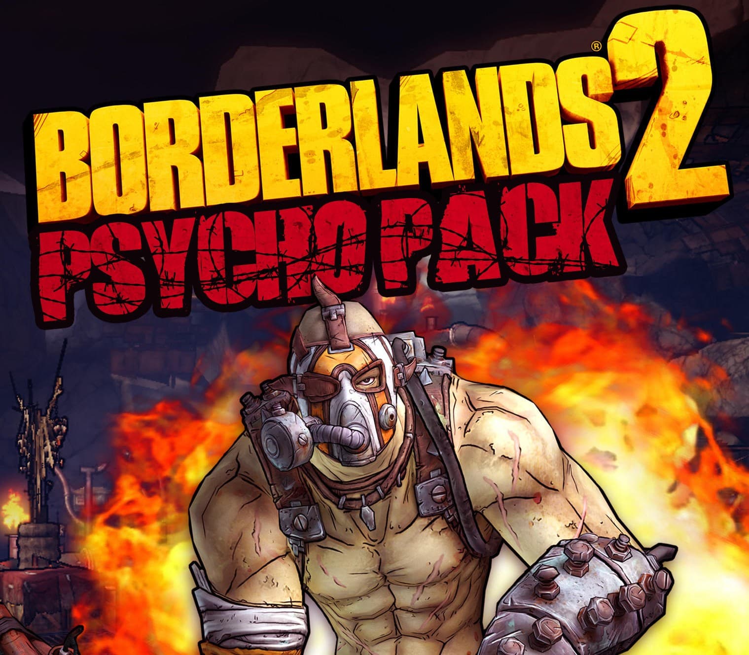 Borderlands 2 - Psycho Pack DLC PC Steam CD Key