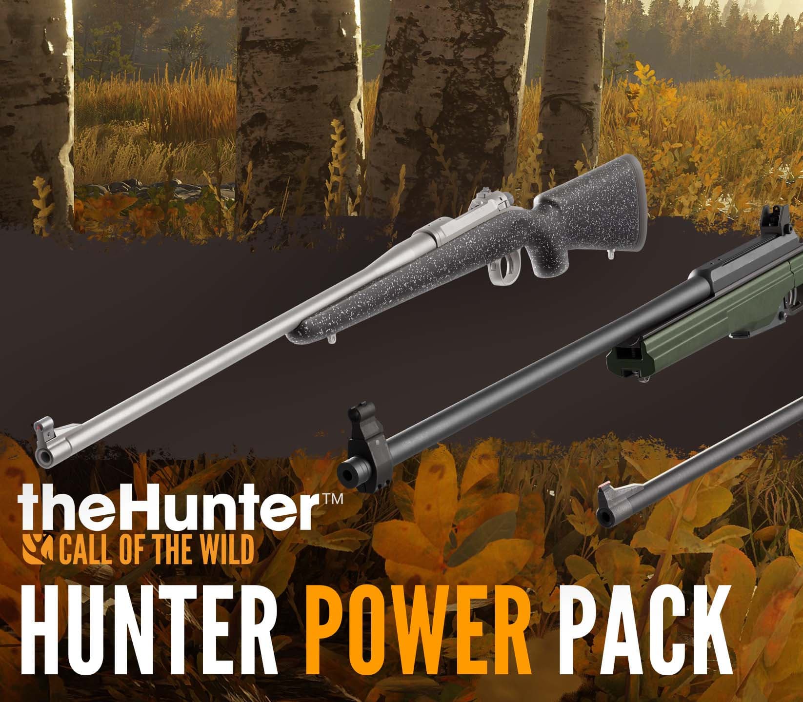 theHunter: Call of the Wild - Hunter Power Pack DLC PC Steam CD Key
